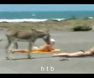 Mẹ điếc cũ hai cô gái lầu xanh lầu xanh
